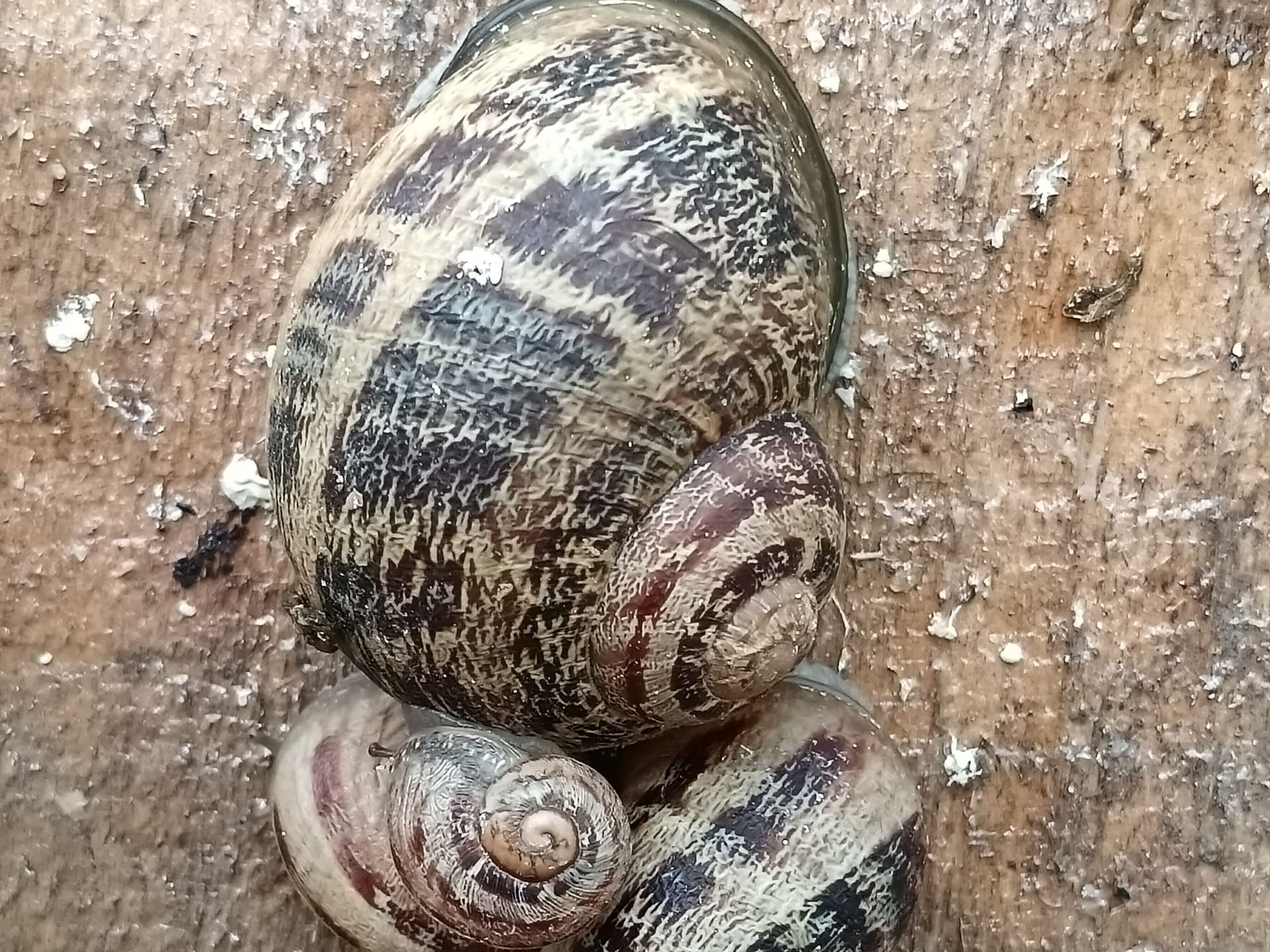 Découverte de la ferme 