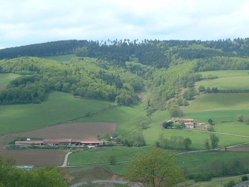 Produits laitiers HVE