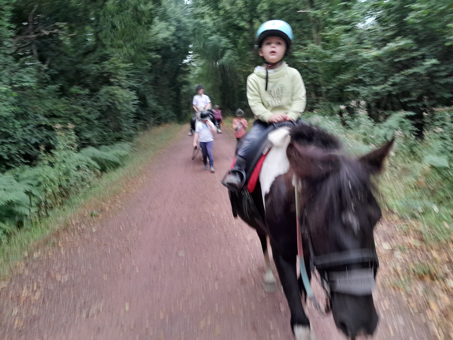 PROMENADE EN LIBRE MONTEE