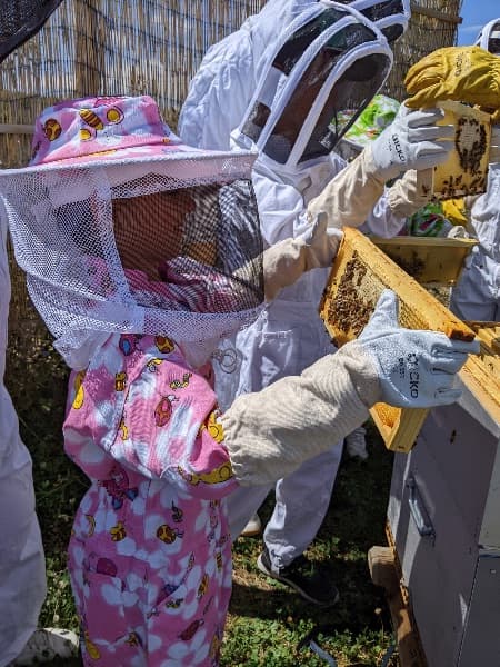 Baptême d’apiculture pour petits & grands