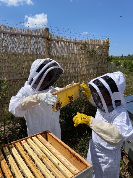 Photo de Baptême d’apiculture pour petits & grands