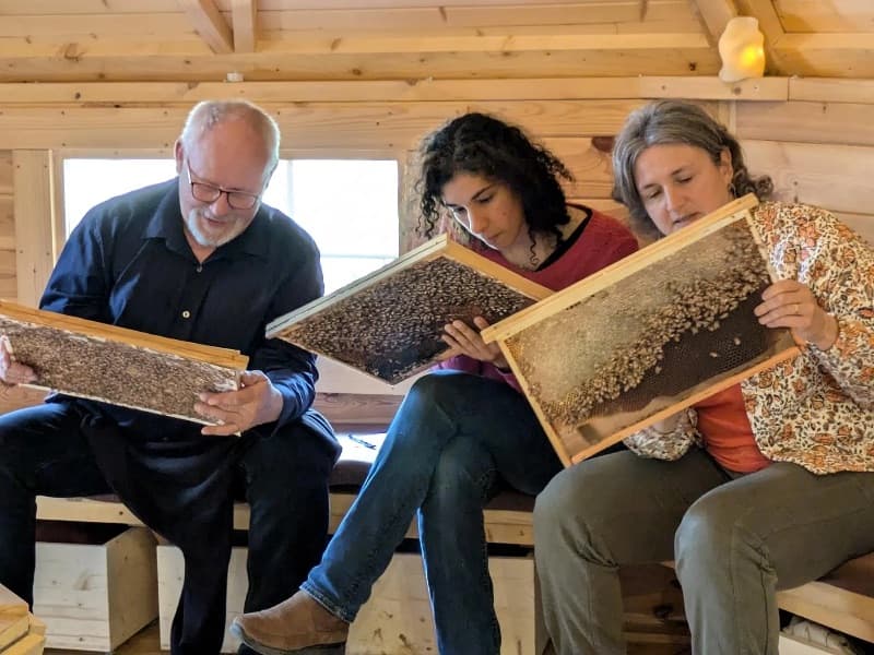 Teambuilding Mielifique