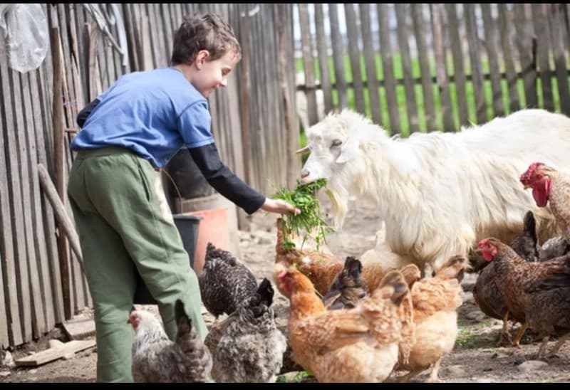 Formule petit fermiers