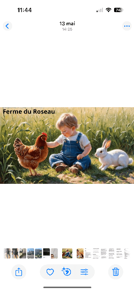 Visite à la ferme