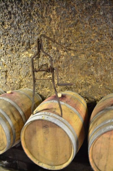 Photo de Journée patrimoine & biodiversité