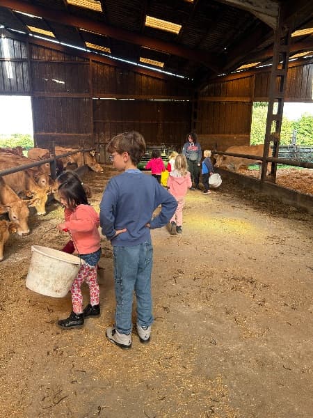 Photo de Visite de la ferme