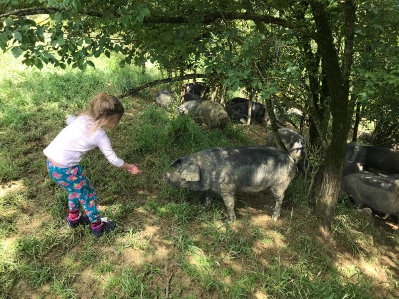 Devenez éleveur d'un jour