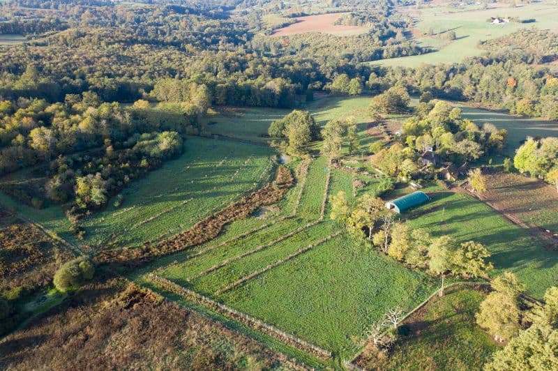 Immersion à la ferme