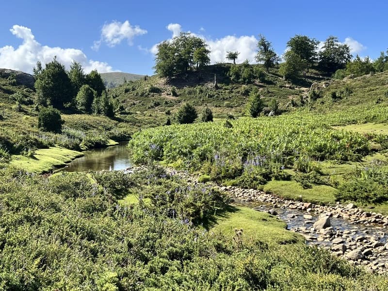De la source à la bière