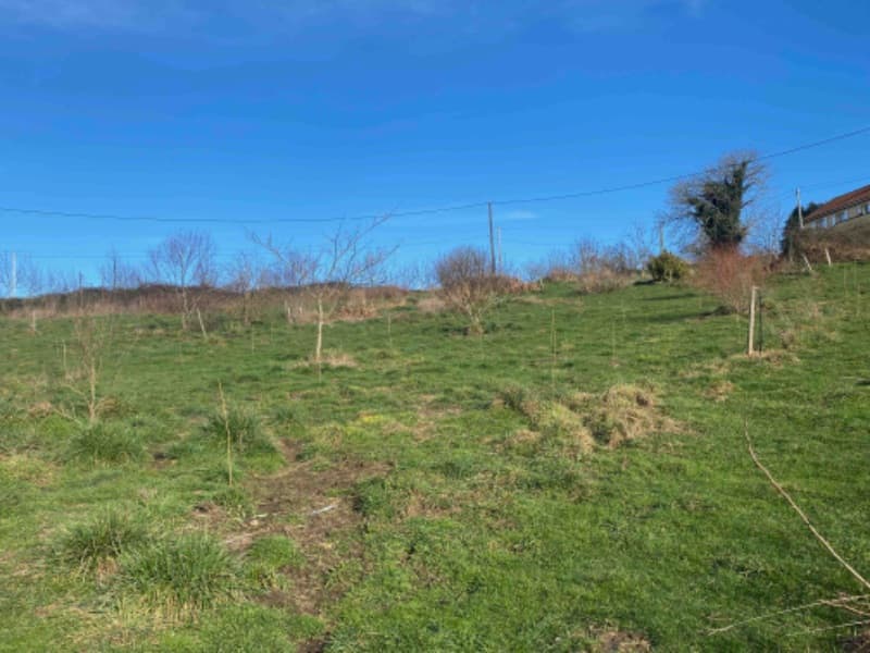 Photo de Salon à la ferme du 21 février au 1er mars