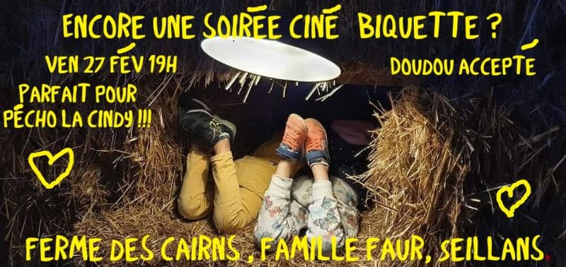 4eme Soirée Ciné biquette câlins , plaid et chocolat chaud.