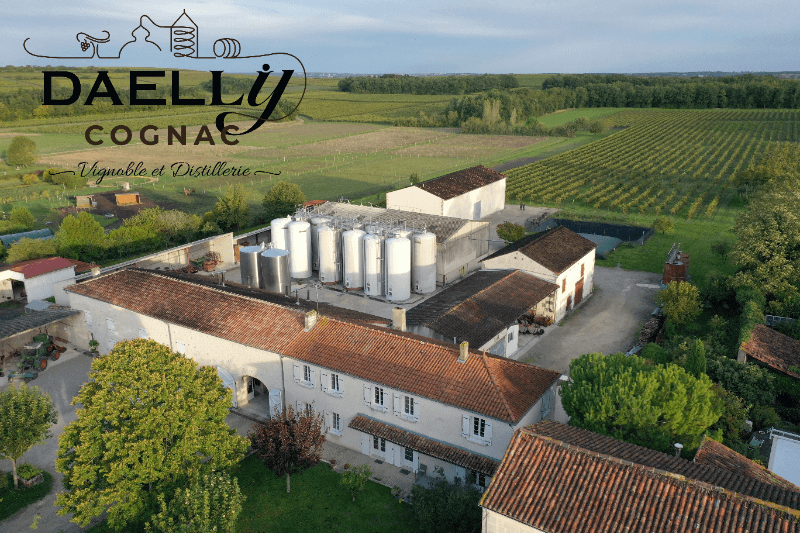 Exploration de la vigne au chai