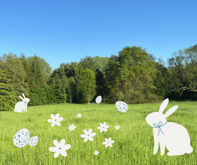 Grande Chasse aux oeufs dans la nature