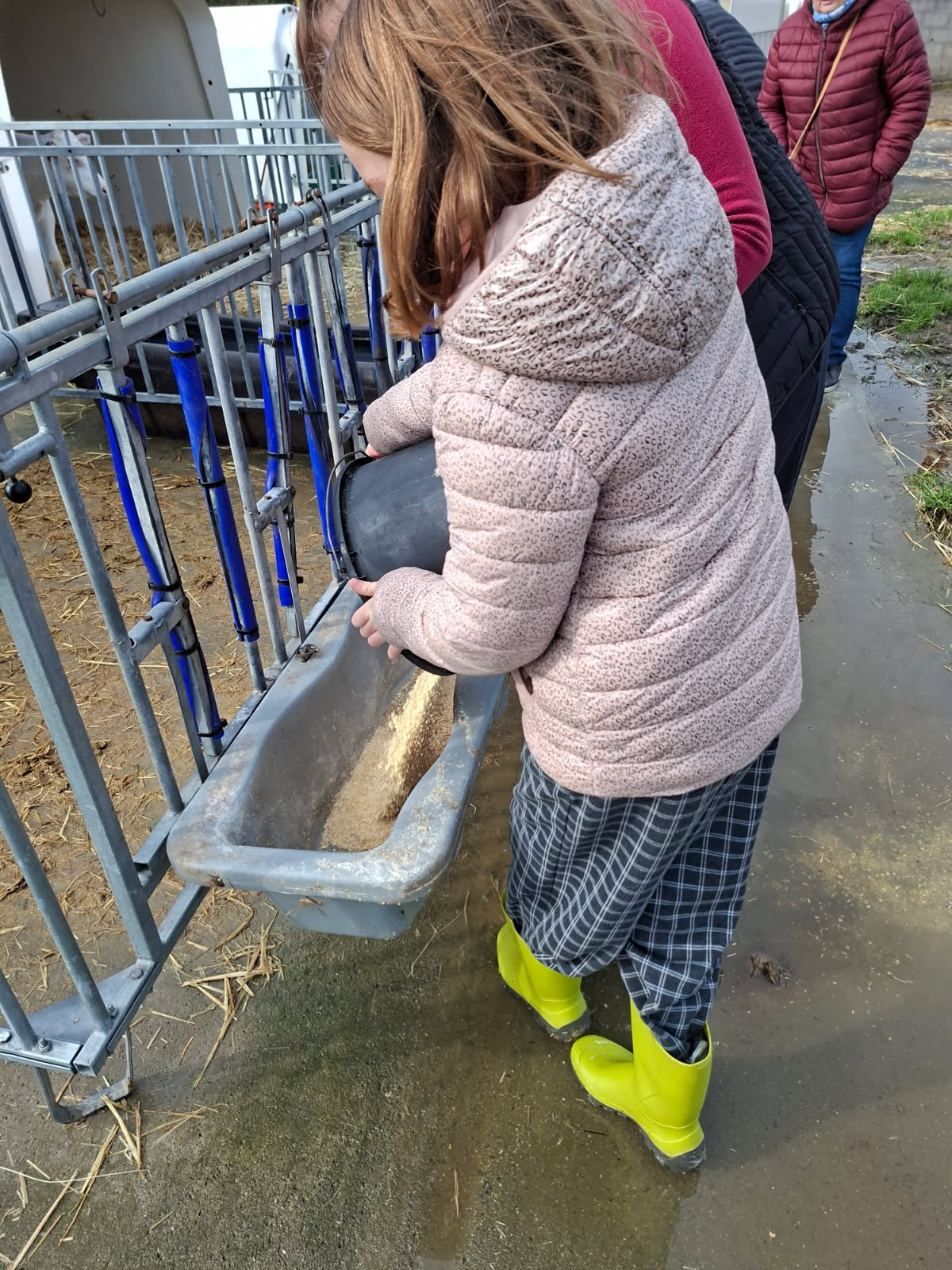 Photo de Soigneur d'un jour 