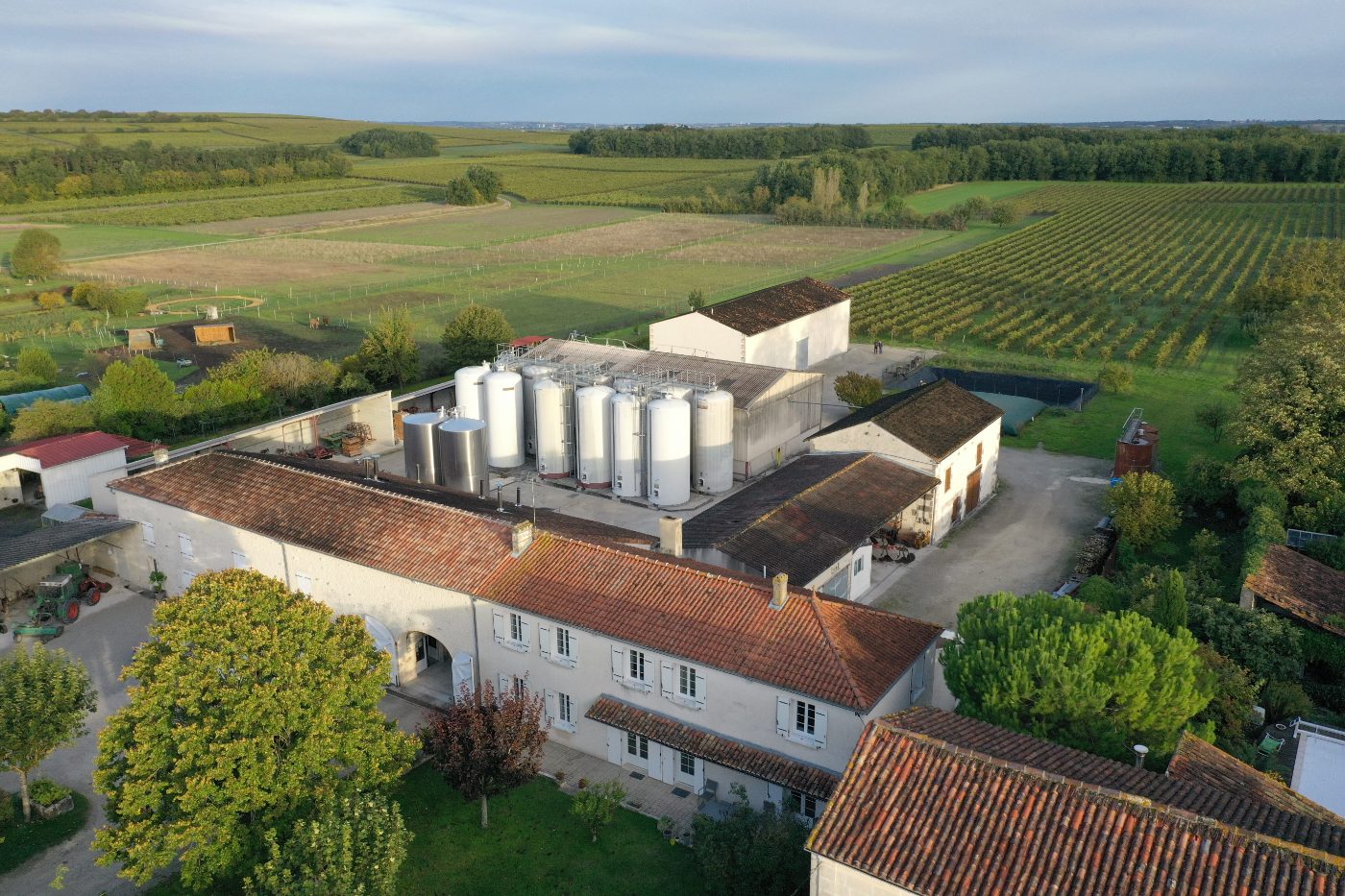 Photo de Exploration de la vigne au chai