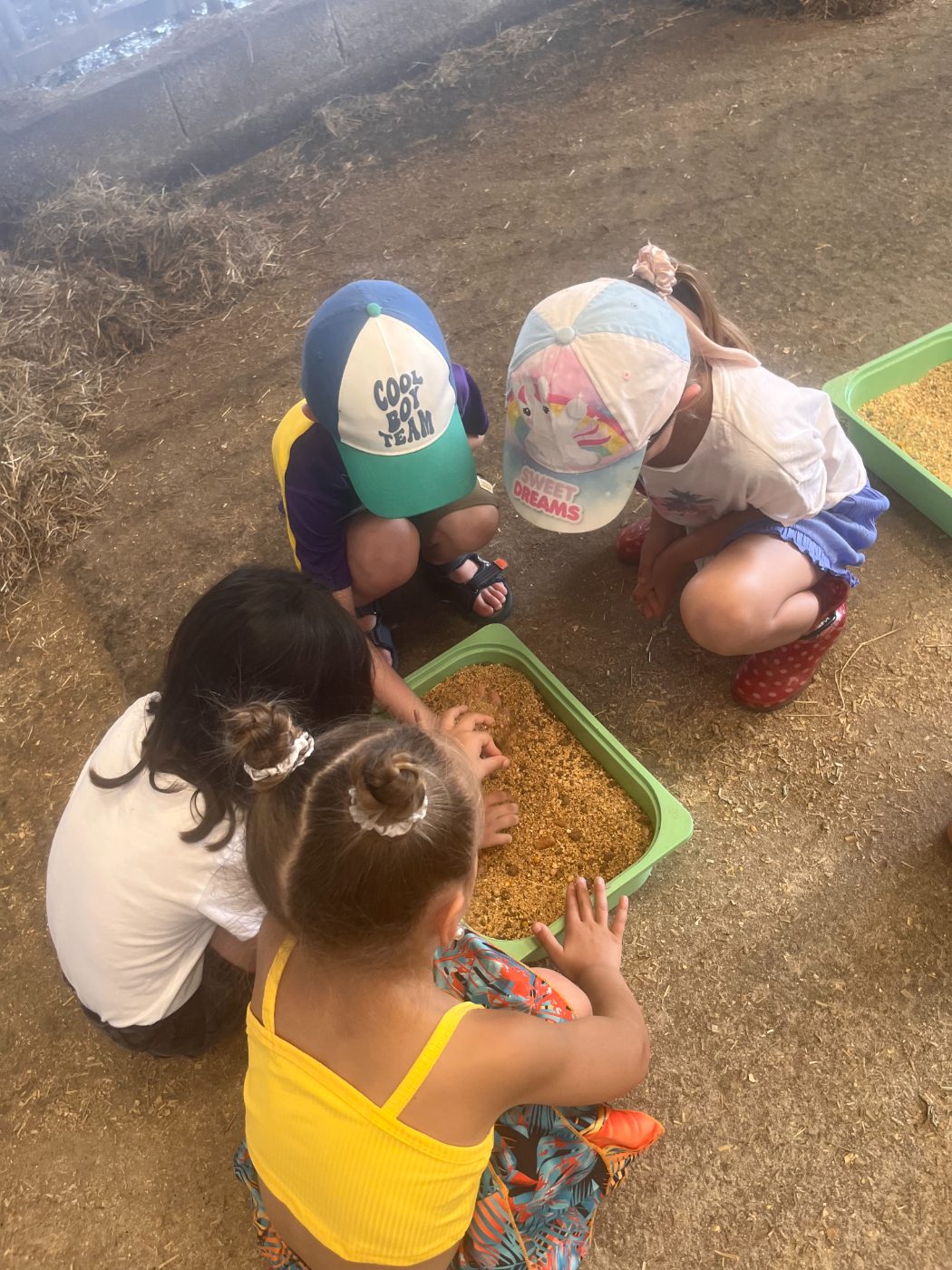 Photo de Mission à la ferme - Les trésors de Flora