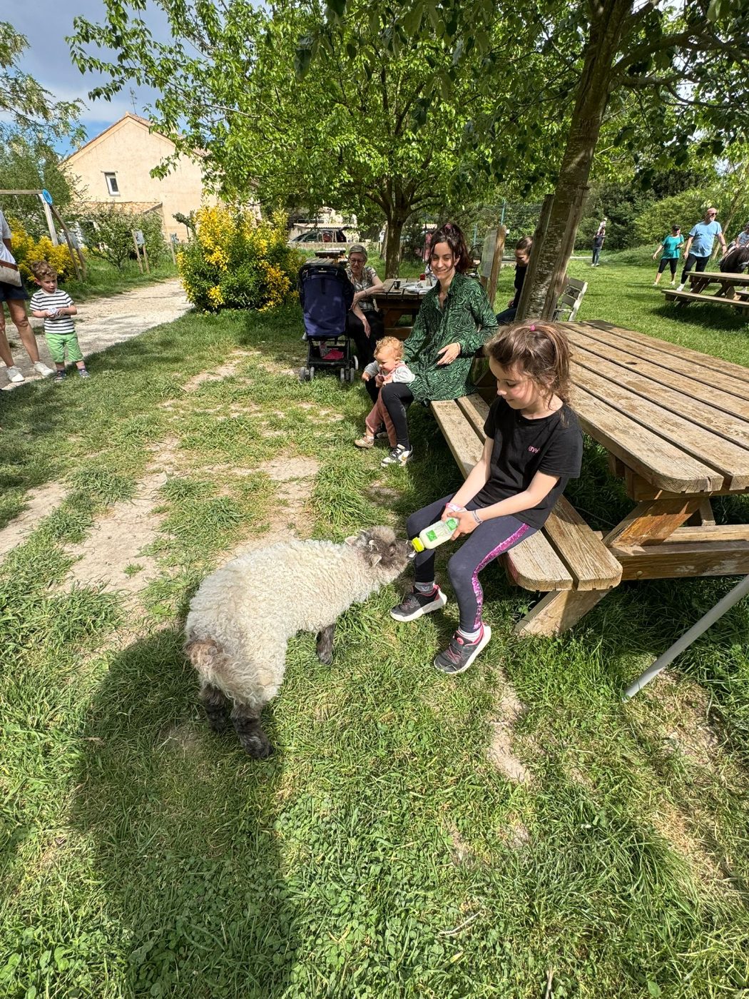 À la rencontre des animaux du Mas de la Gallinière
