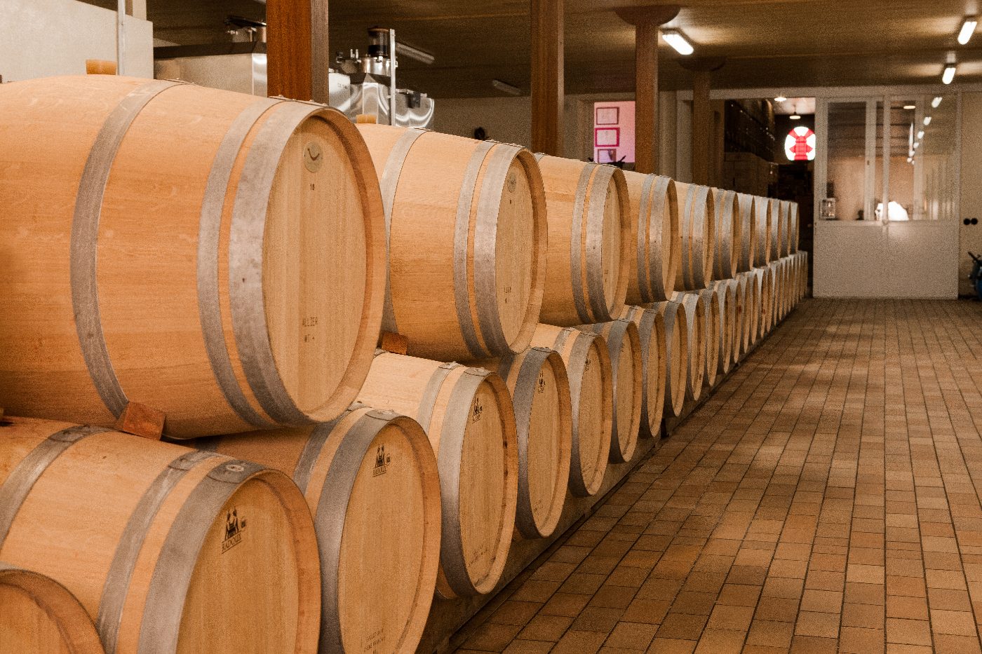 Visite du domaine avec le vigneron