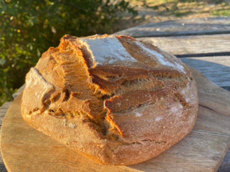 Photo de atelier sur le levain