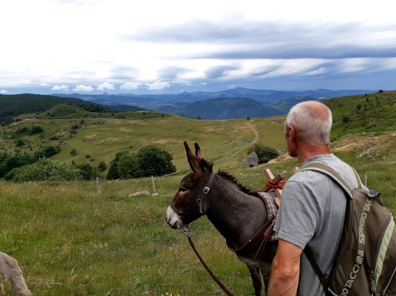 Photo de Randonnée avec un âne