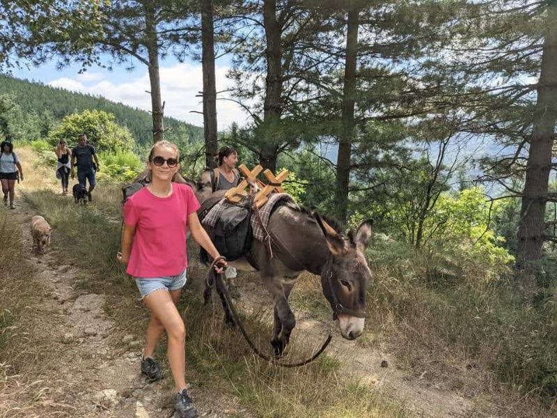 Photo de Randonnée avec un âne
