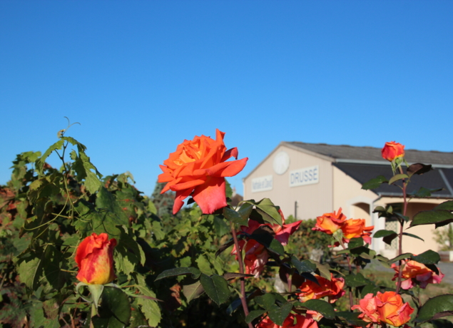 Cave Nathalie et David DRUSSÉ