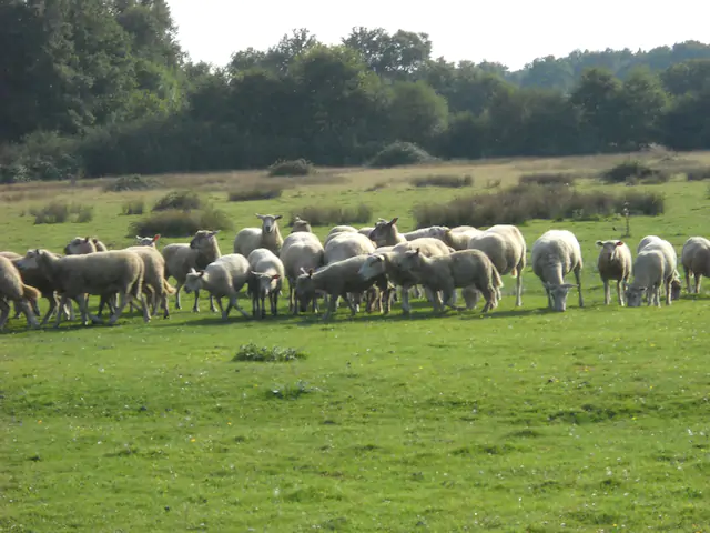 Photo de GITES DES BARRES