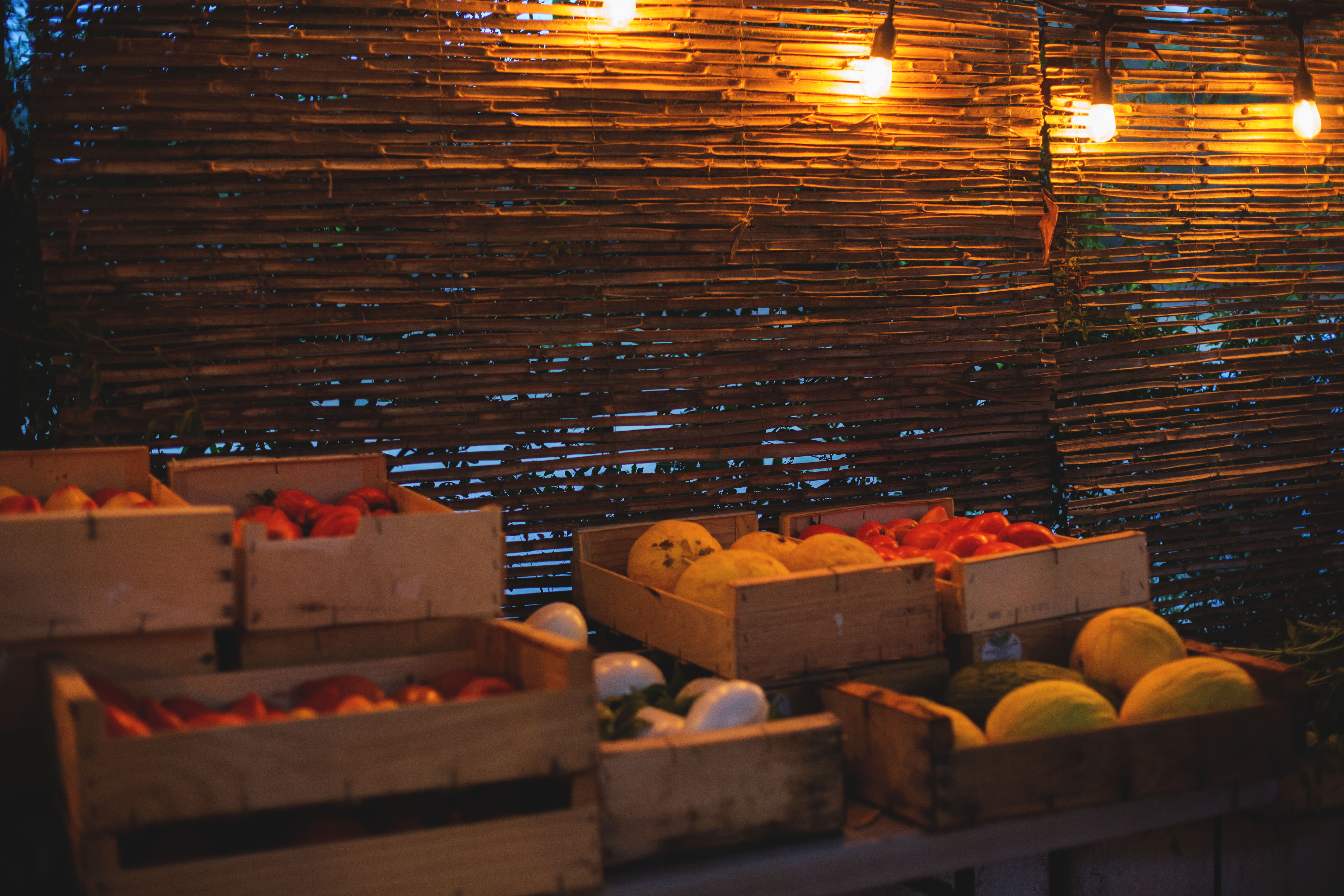 Photo de Elevage Familial Faur, La Ferme des Cairns