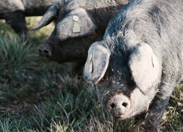 Photo de Domaine Rey