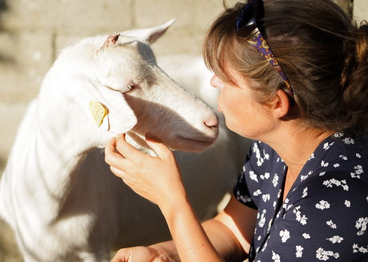 Photo de Eco ferme pédagogique de Chambesne centre équi social 