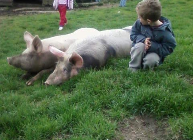 Photo de Ferme Pédagogique du Lieu Roussel