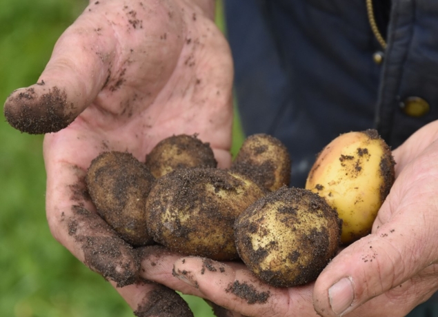 Photo de Ferme Lestrade