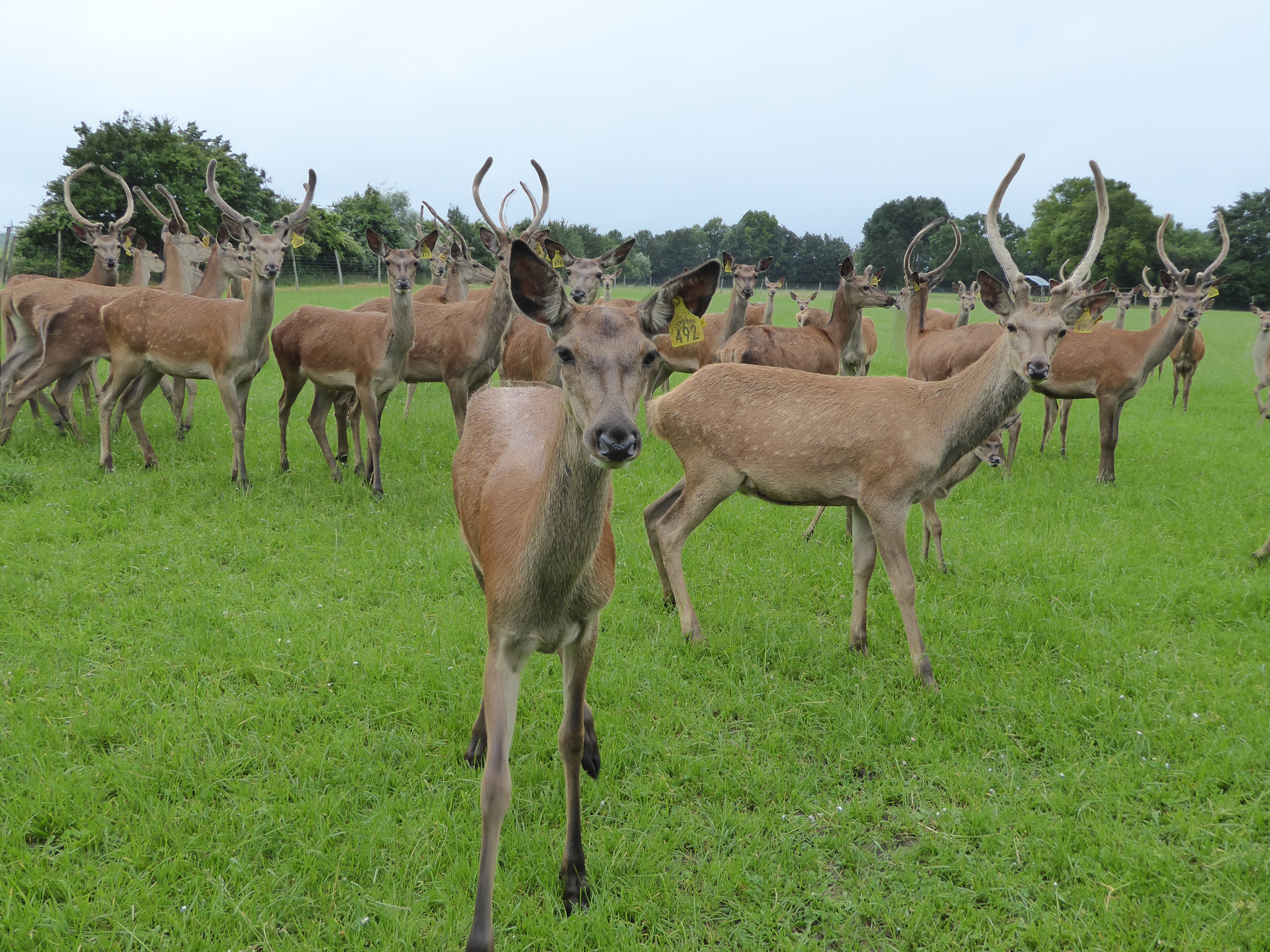 Photo de Ferme de Villaine