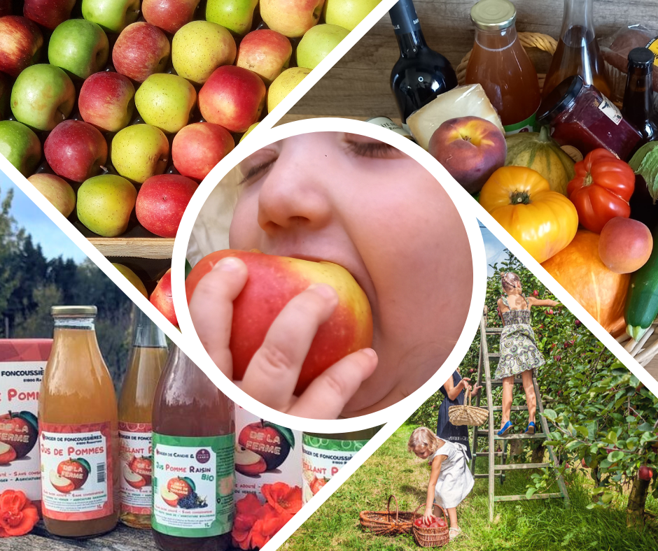 Photo de Verger de Foncoussières