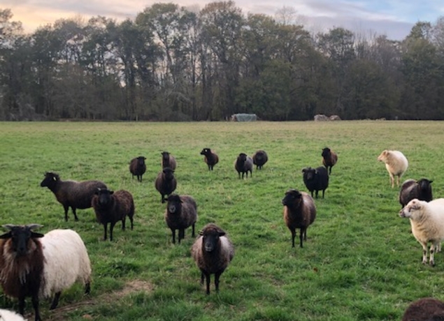 Photo de La Pêcherie d'Aurit