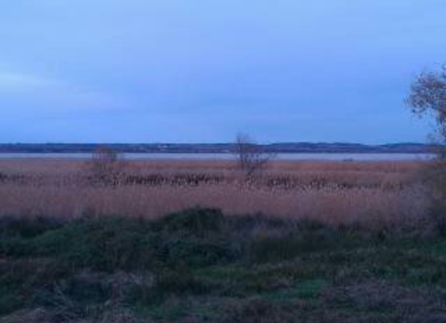 Photo de les délices du Scamandre