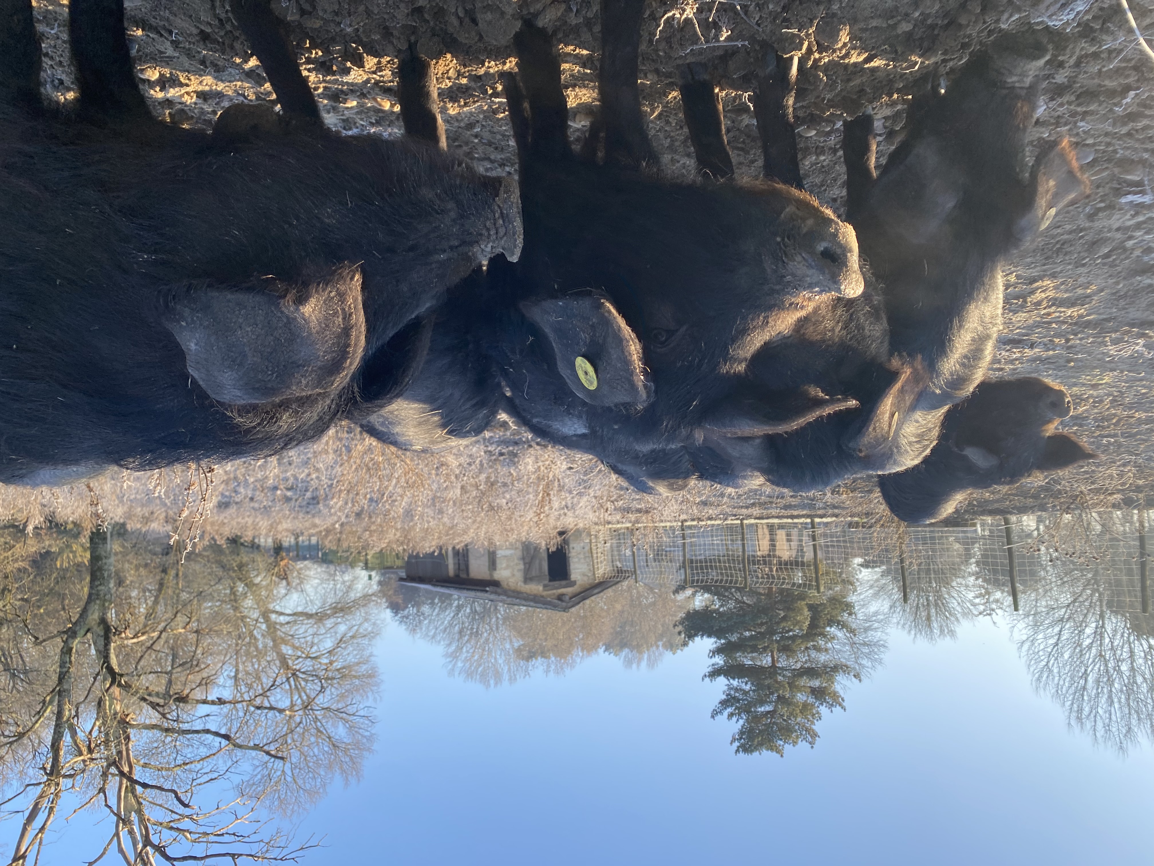 Photo de GAEC Domaine de la Chataignière