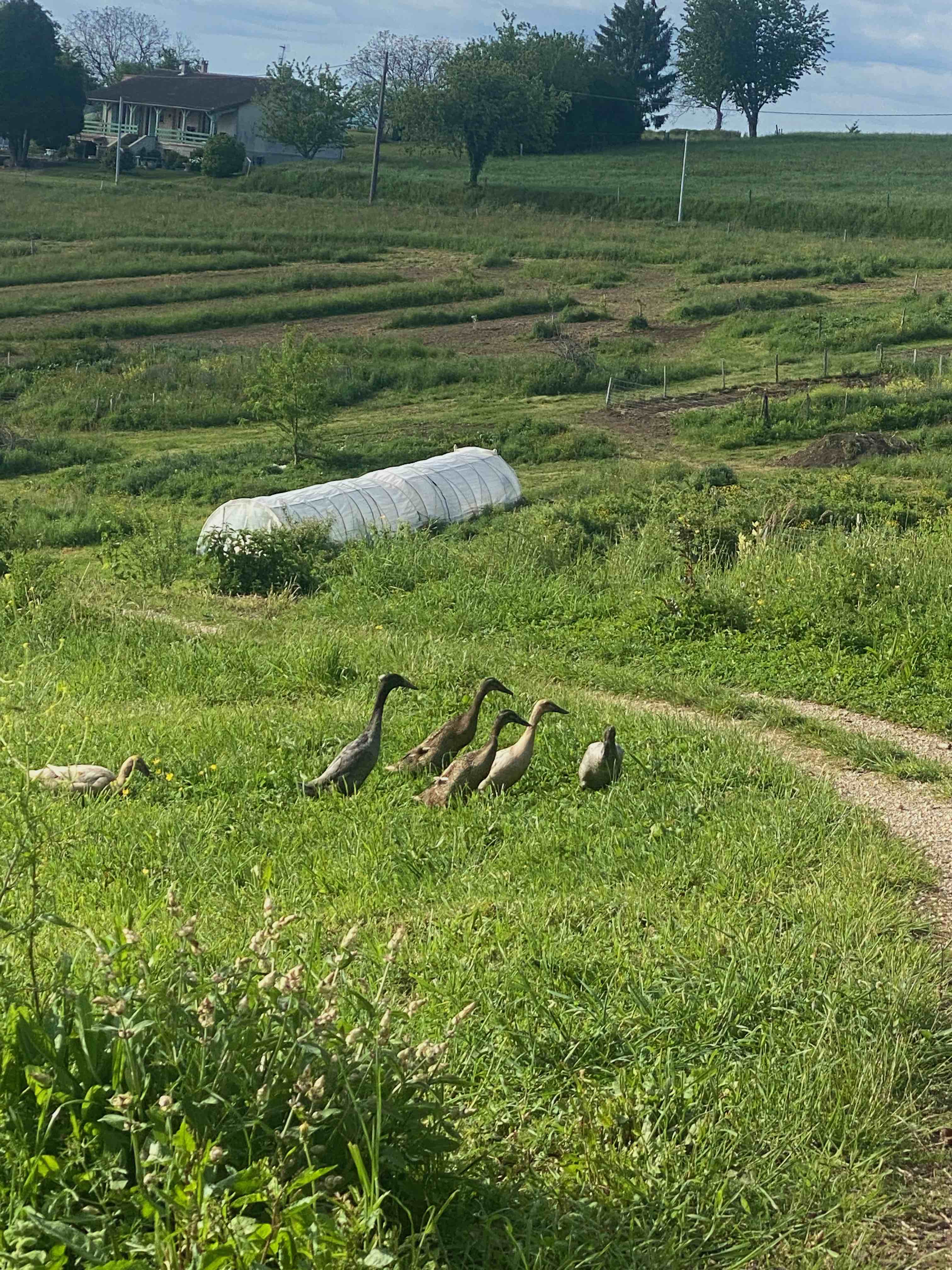 Photo de ferme sinsac