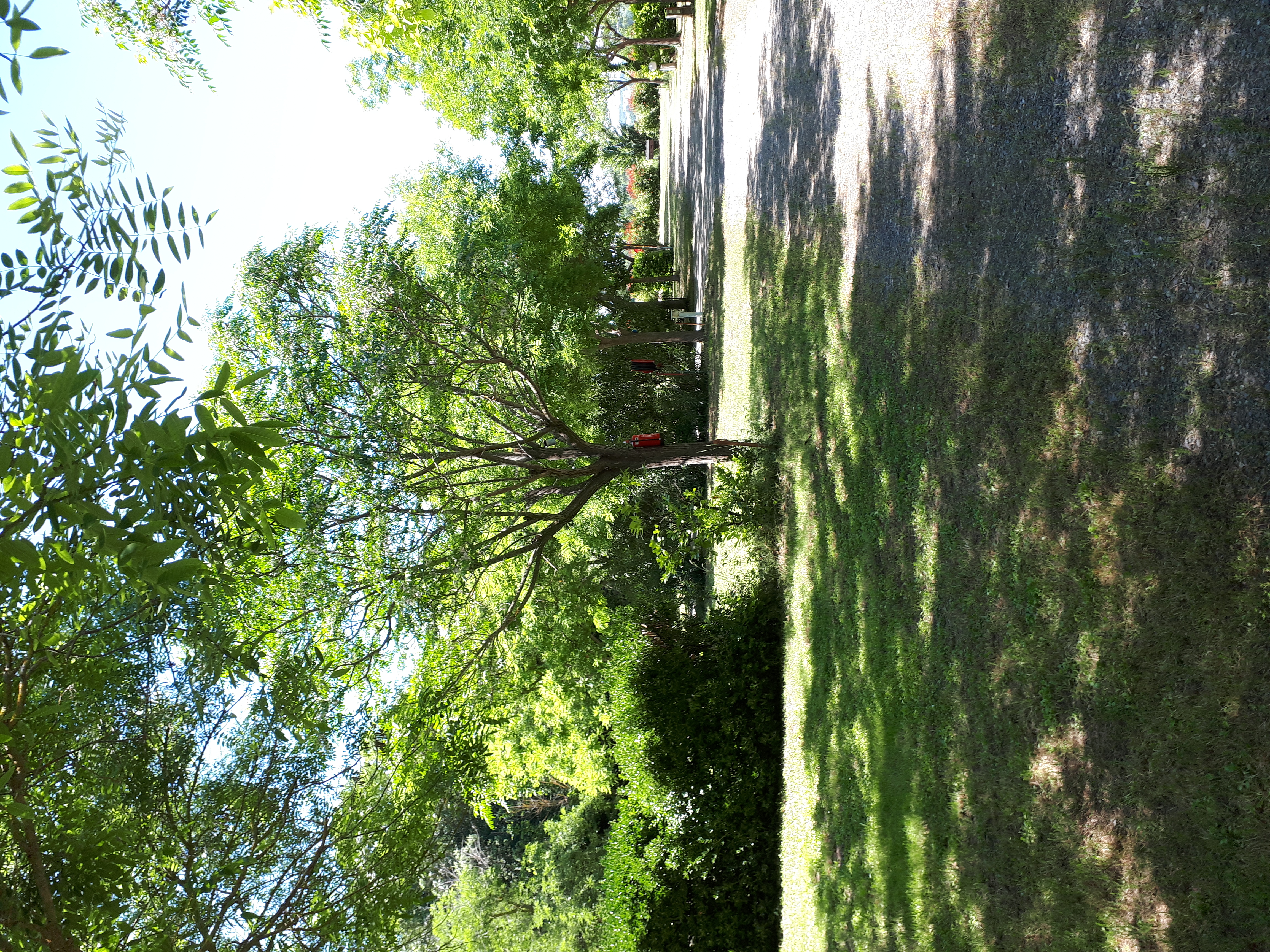 Photo de Domaine de Villemarin