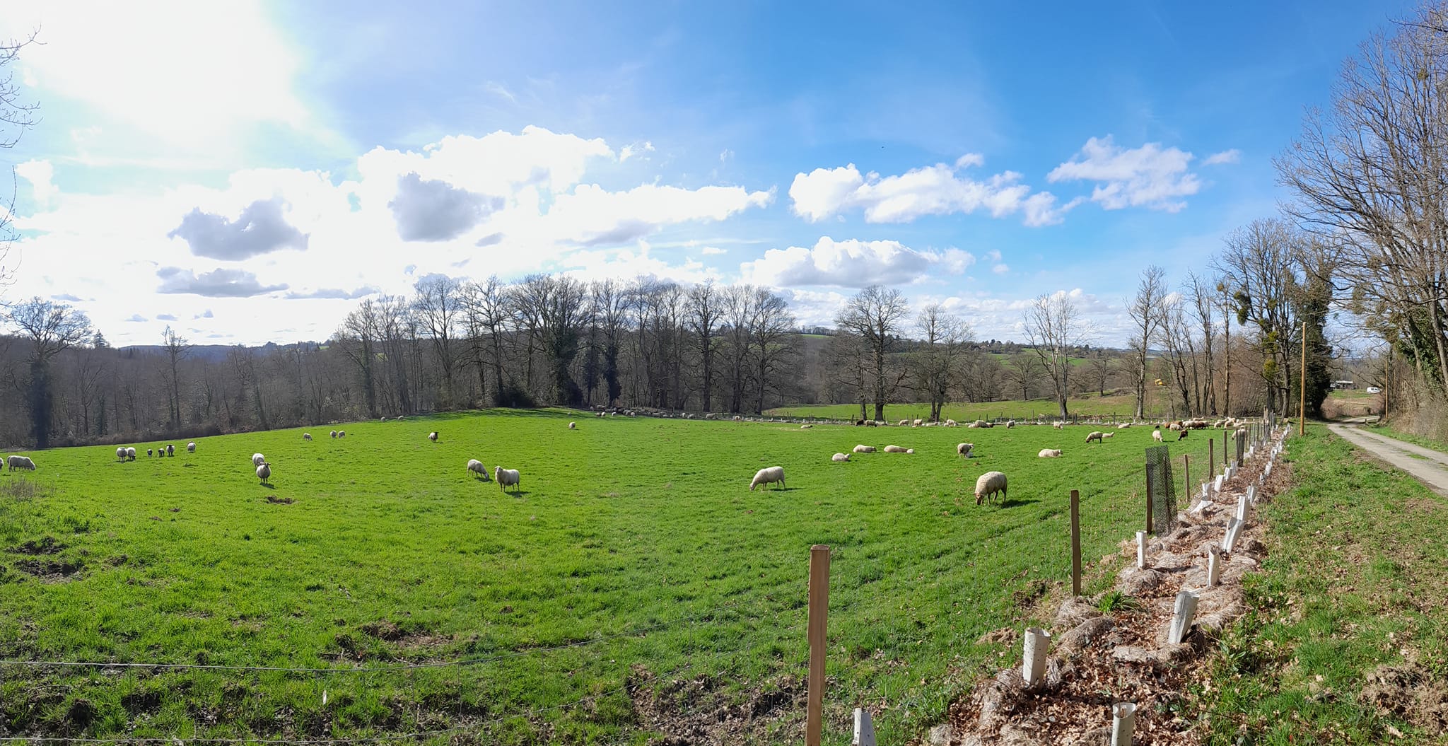 Photo de Ferme Au pré de mon arbre