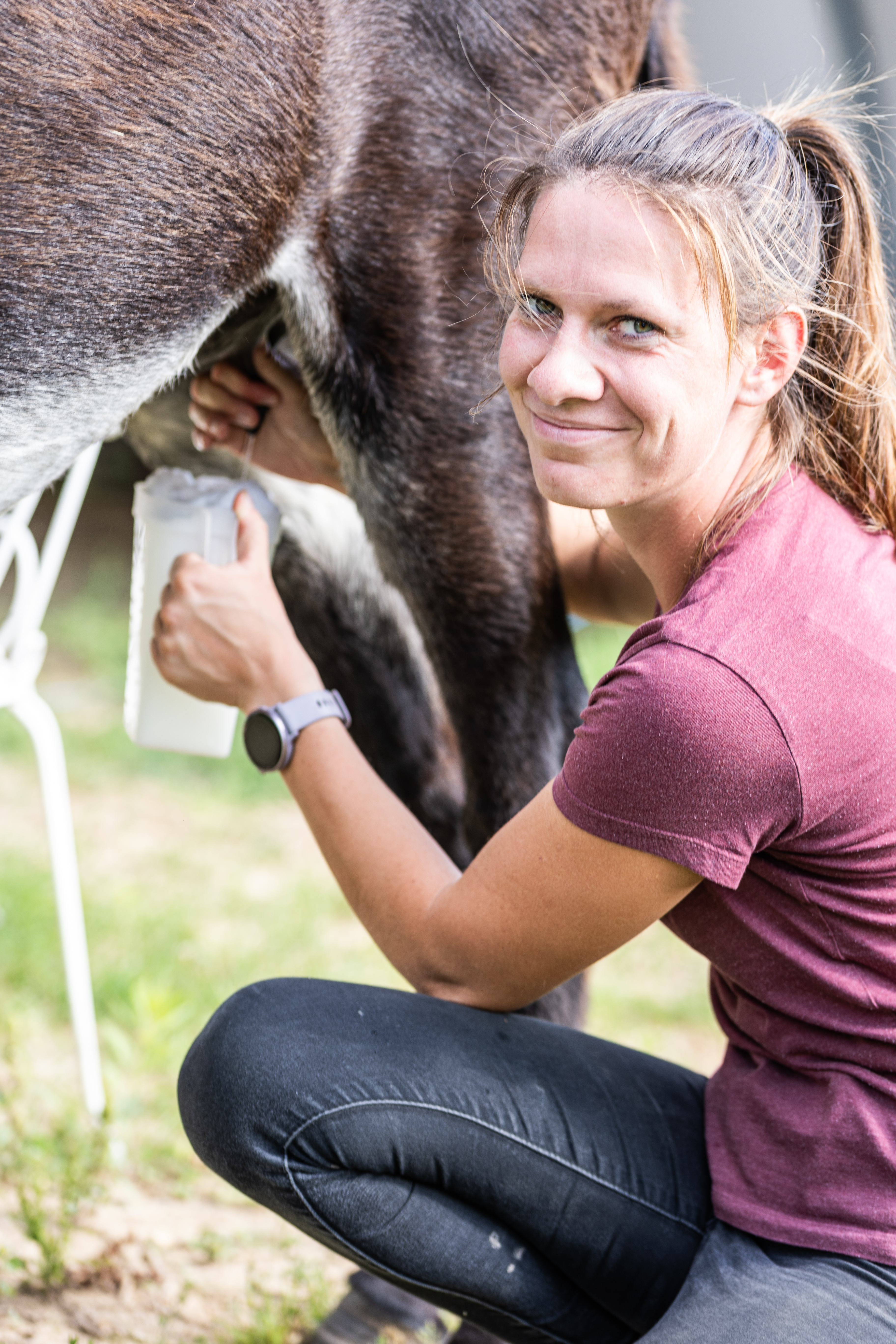 Photo de ASINERIE DE PES VITIS