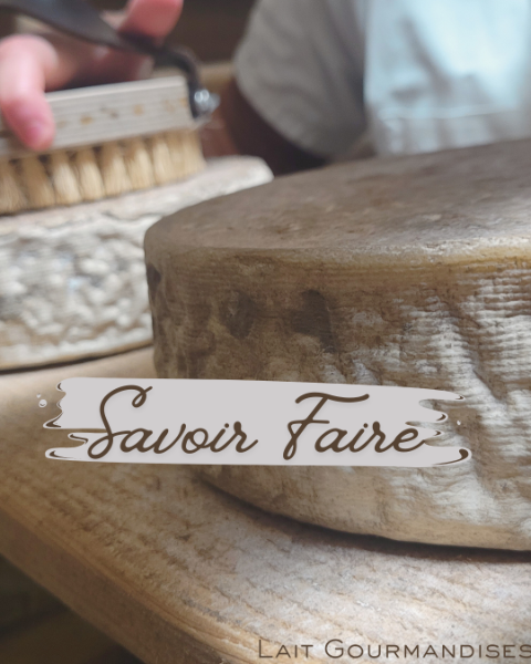 Photo de Visite Guidée ferme + fromagerie