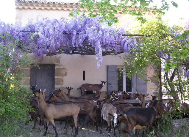 FERME DU BREGALON