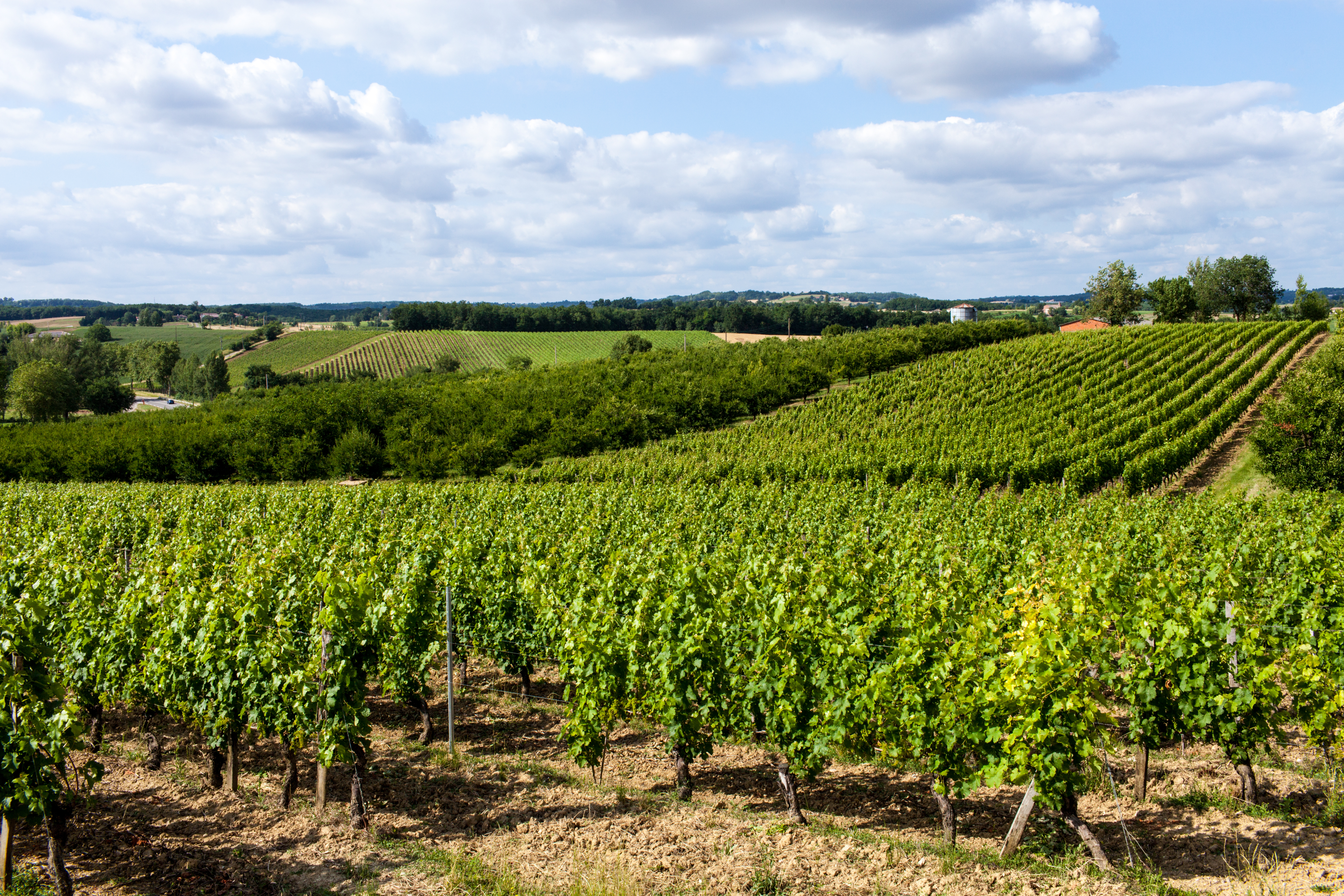 Photo de Domaine de Guillau