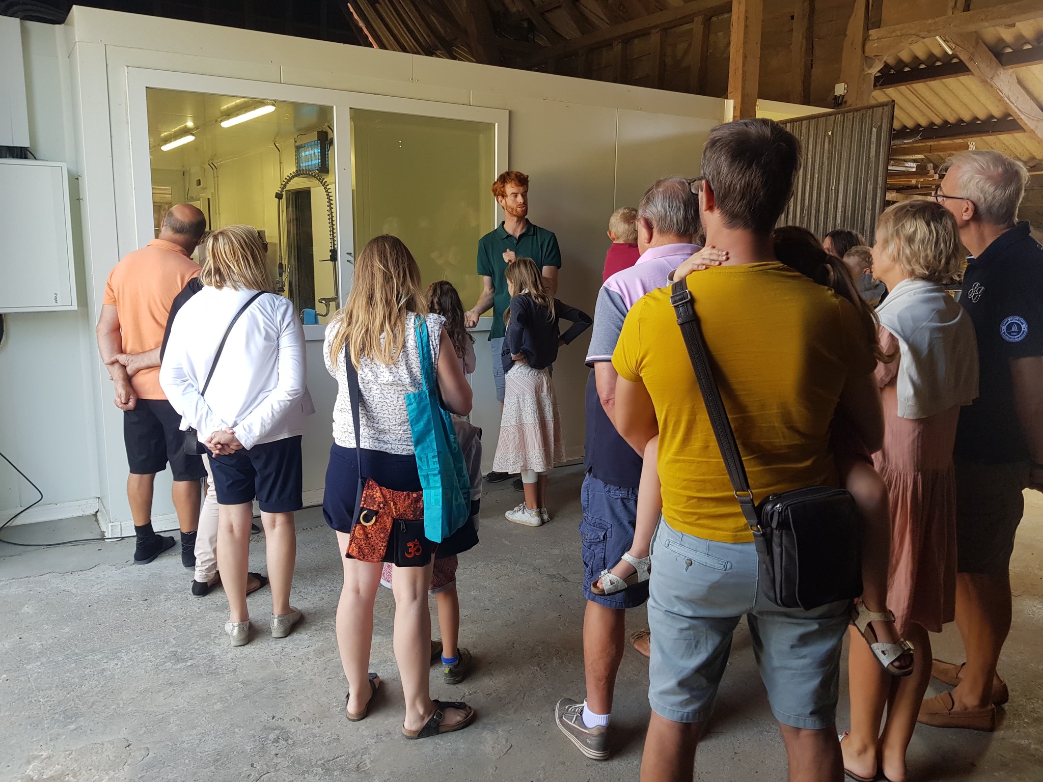 Photo de Visite au cœur de l'élevage de brebis