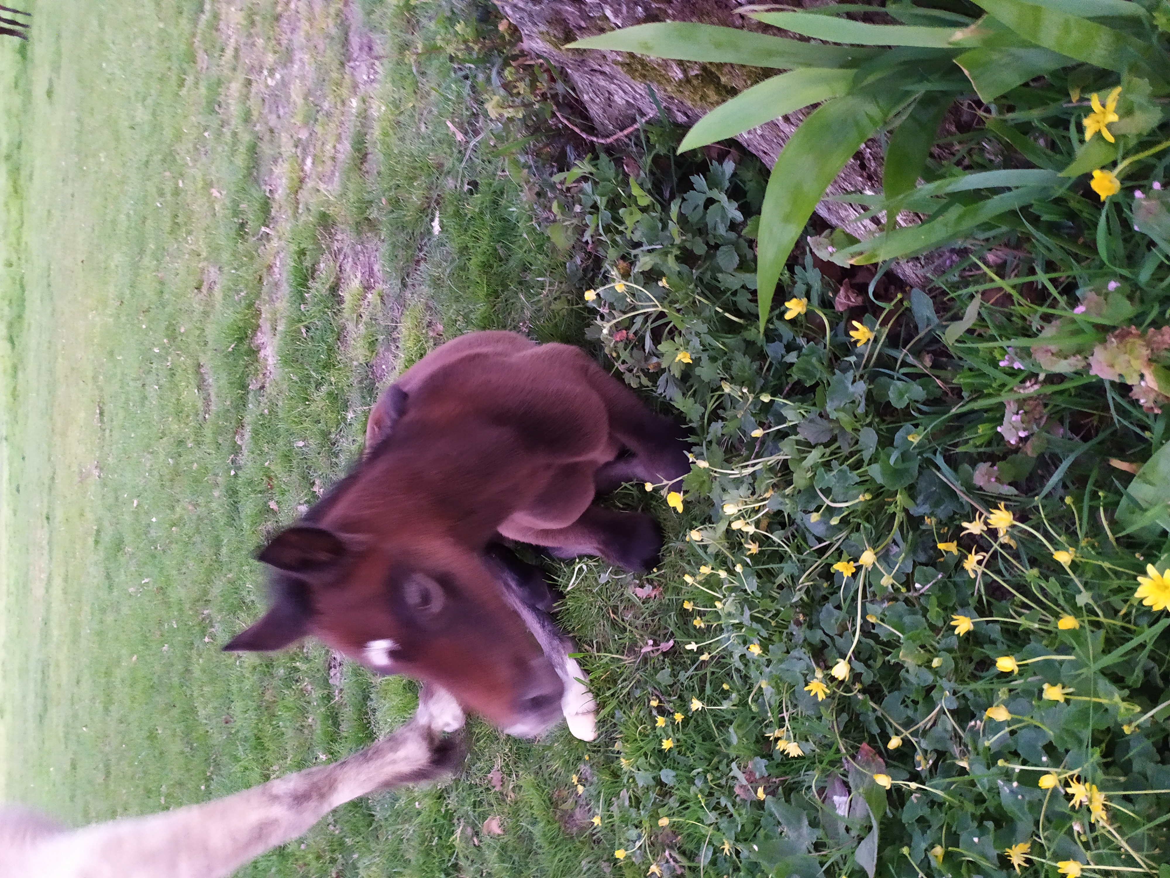 Photo de GITES DES BARRES