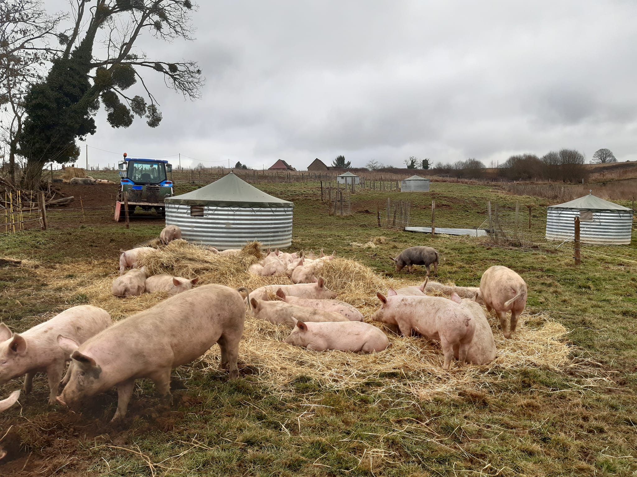 Photo de Ferme Au pré de mon arbre