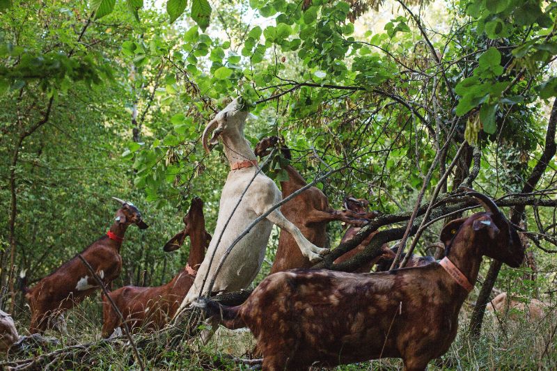 Photo de Rando biquette 