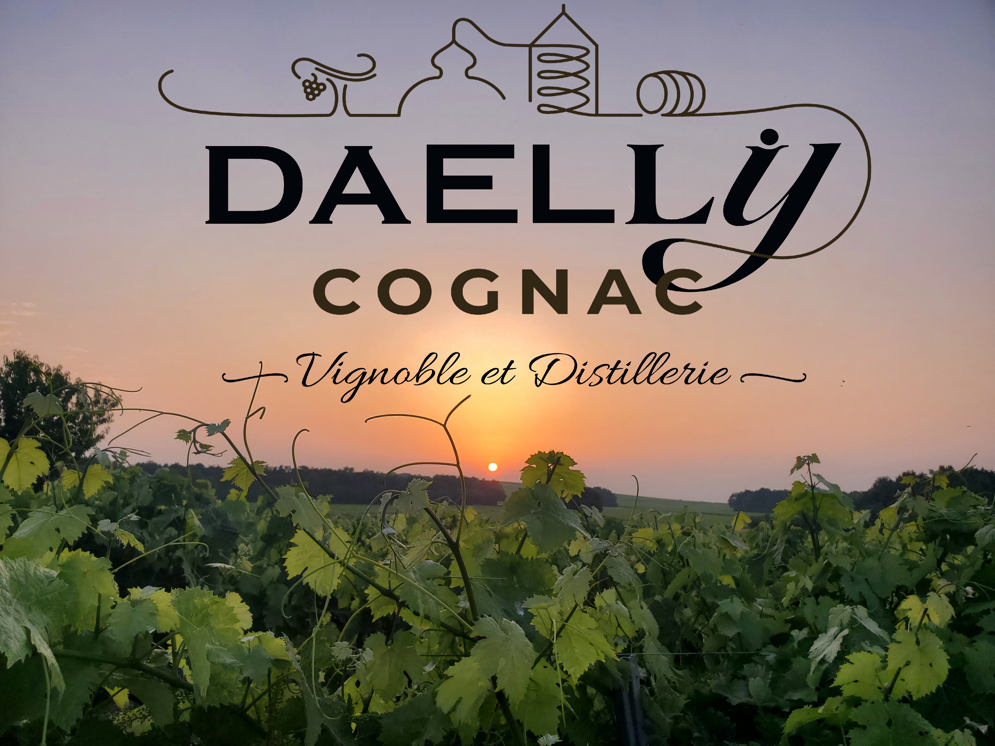 Daelly Cognac 
