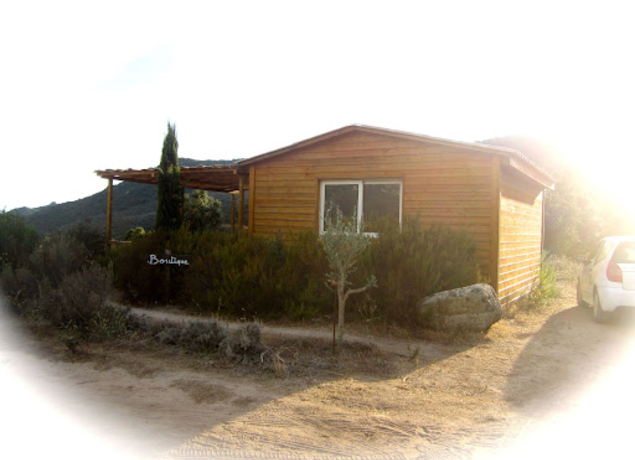 Photo de VITALBA Distillerie  Listincu